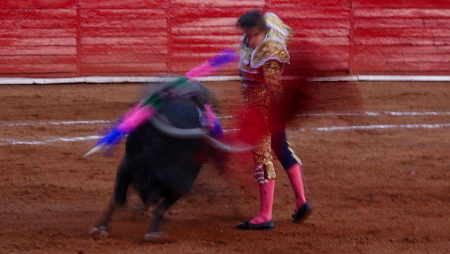 Jueza en CDMX Posterga Veredicto sobre Suspensión de Corridas de Toros en la Plaza México