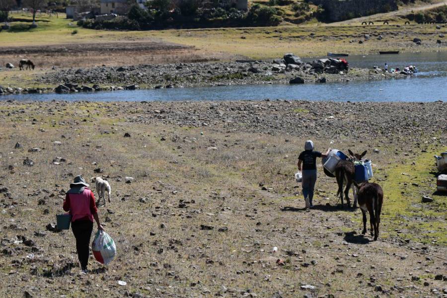 Xóchitl Gálvez urge declarar emergencia por sequía en el centro del país y utilizar recursos del Fonden