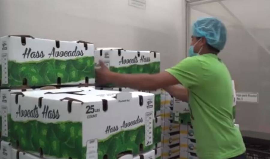 Exportaciones agroalimentarias de México alcanzan récord histórico en 2023