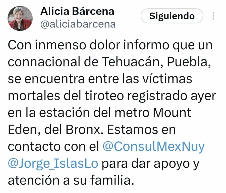 Mexicano es la víctima mortal en tiroteo en Metro de NY; fue alcanzado por una bala pérdida: SRE