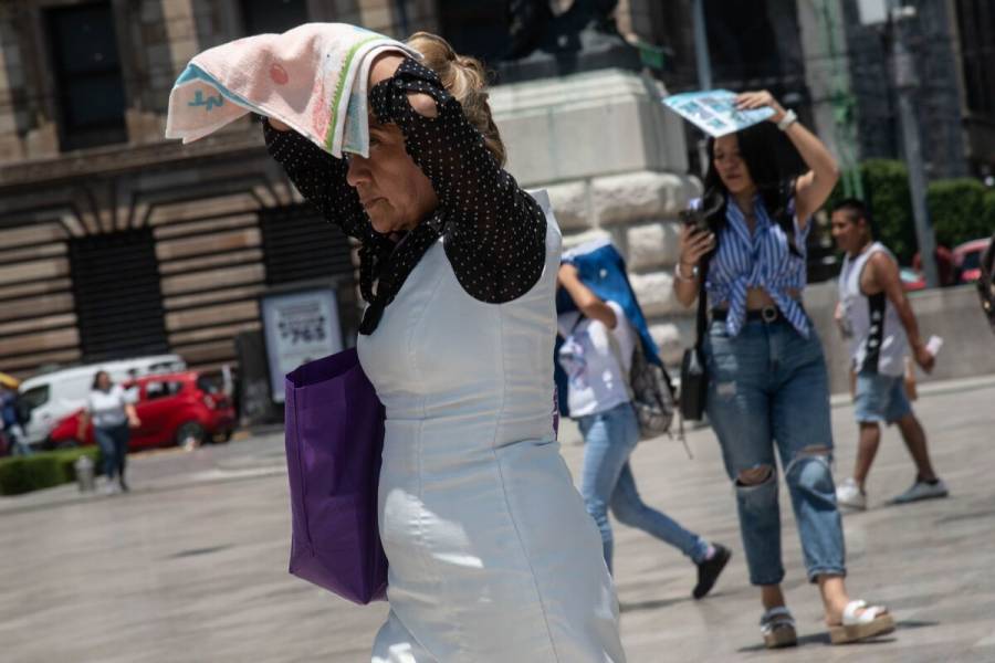 Ola de Calor: alertan por temperaturas mayores a los 40 grados