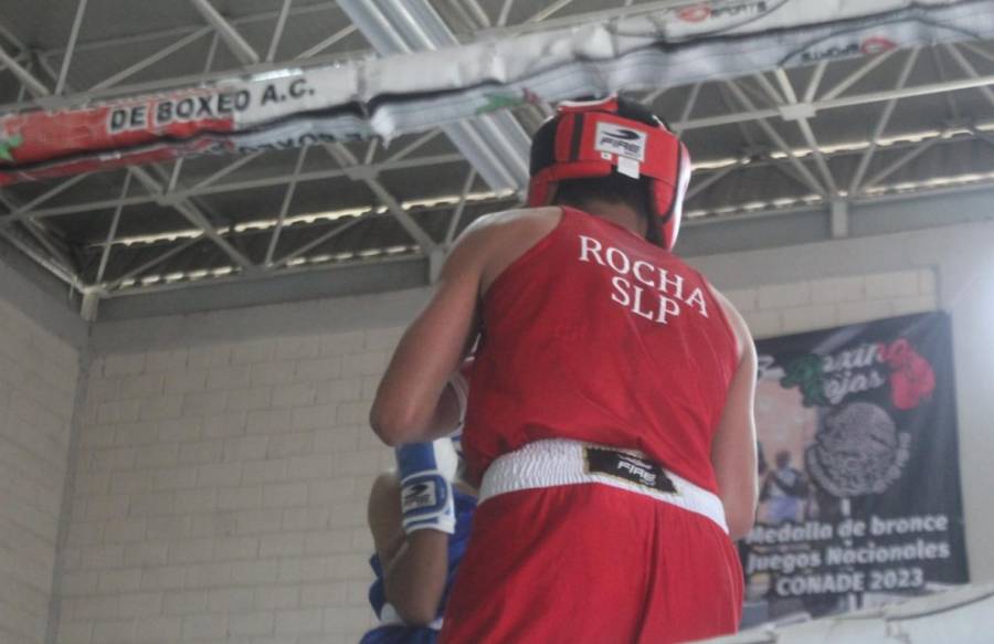 La selección de box en SLP se conforma para la fase macro regional