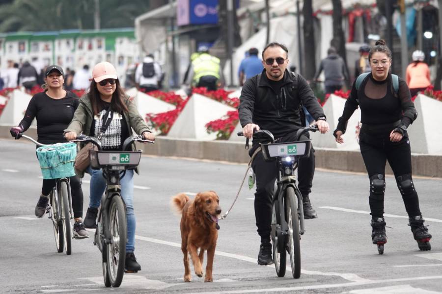 Anuncian actividades para disfrutar del Paseo Nocturno con motivo del Día del Amor y la Amistad