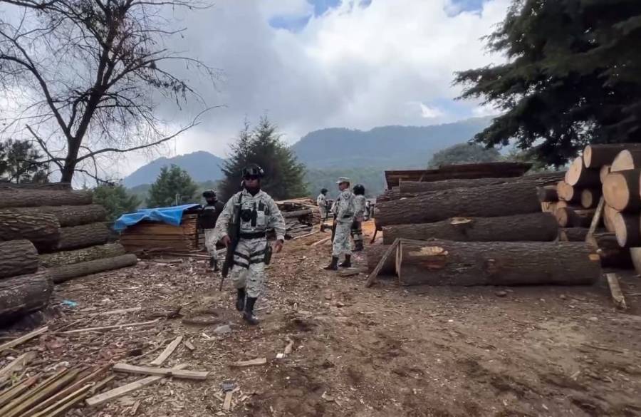 Detenidos presuntos talamontes vinculados a la Familia Michoacana en el Estado de M&eacute;xico