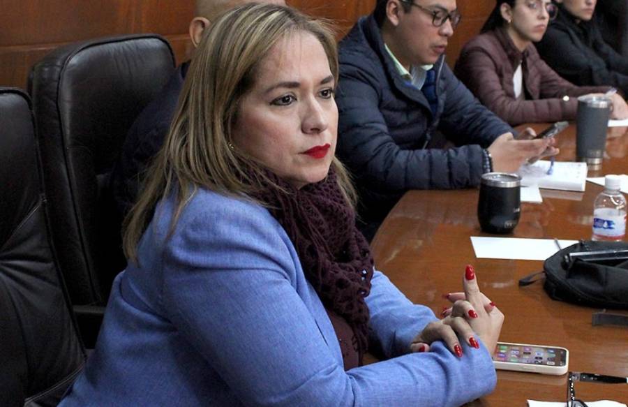 Diputada Yolanda Cepeda pide resolver conflictos en el Hospital Central
