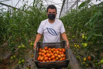 Estiman producci&oacute;n de 300 millones de toneladas de alimentos en 2023