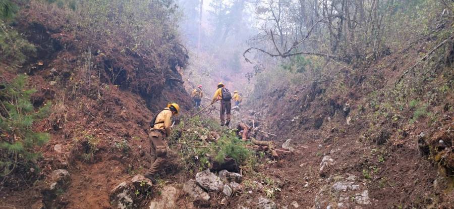 Incendio forestal en Ixtacamaxtitlán no representa riesgo a la población; Céspedes
