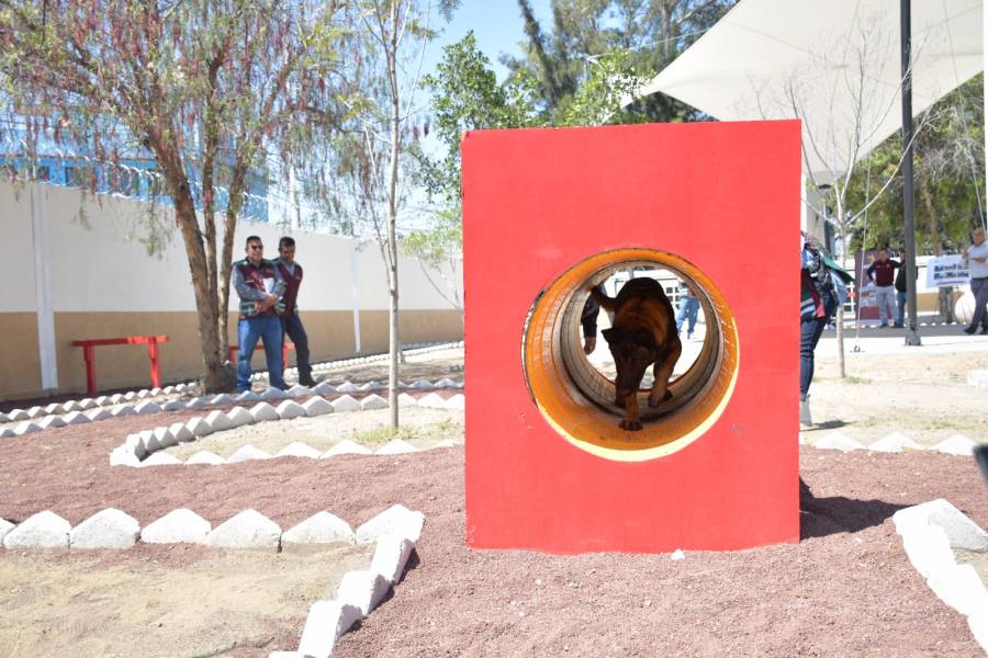 Neza inaugura primer refugio de animales víctimas de maltrato; prohíbe ingreso de niños a espectáculos como corridas de toros