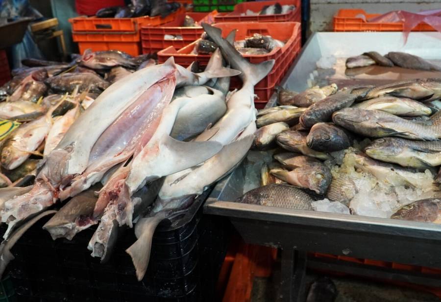 En cuaresma, garantizan productores abasto de pescados y mariscos de producción nacional