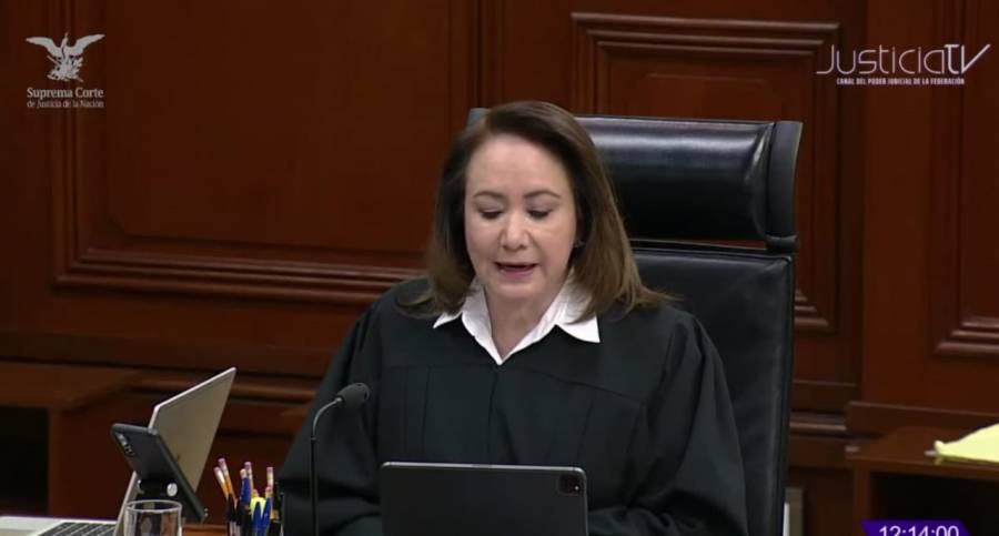 Violencia vicar&iacute;a es de uso exclusivo hacia las mujeres ante desigualdad; constitucional ley en San Luis Potos&iacute;: Yasm&iacute;n Esquivel