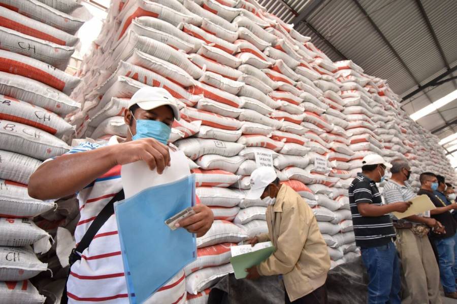 Entrega Agricultura fertilizante gratuito en tiempo récord en 28 estados