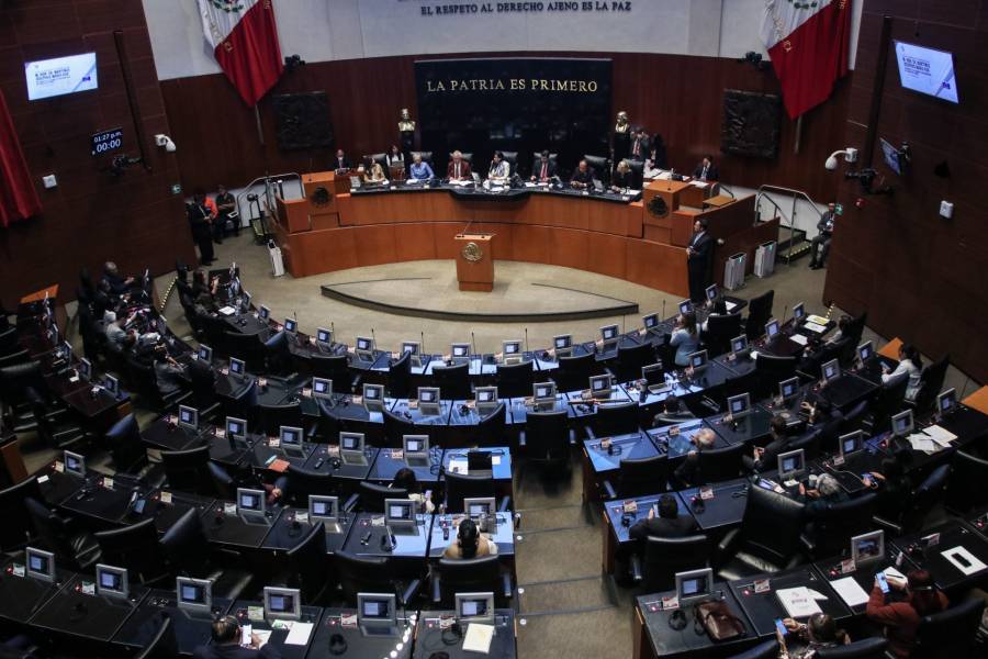 Estos son los candidatos del PVEM para el Senado en Representación Proporcional