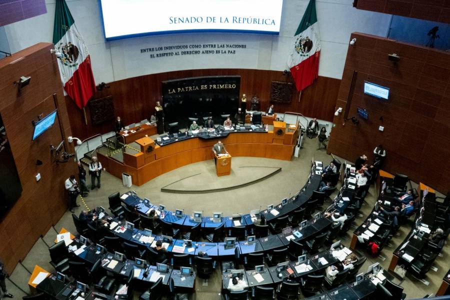 Estos son los candidatos de MC para el Senado en Representación Proporcional