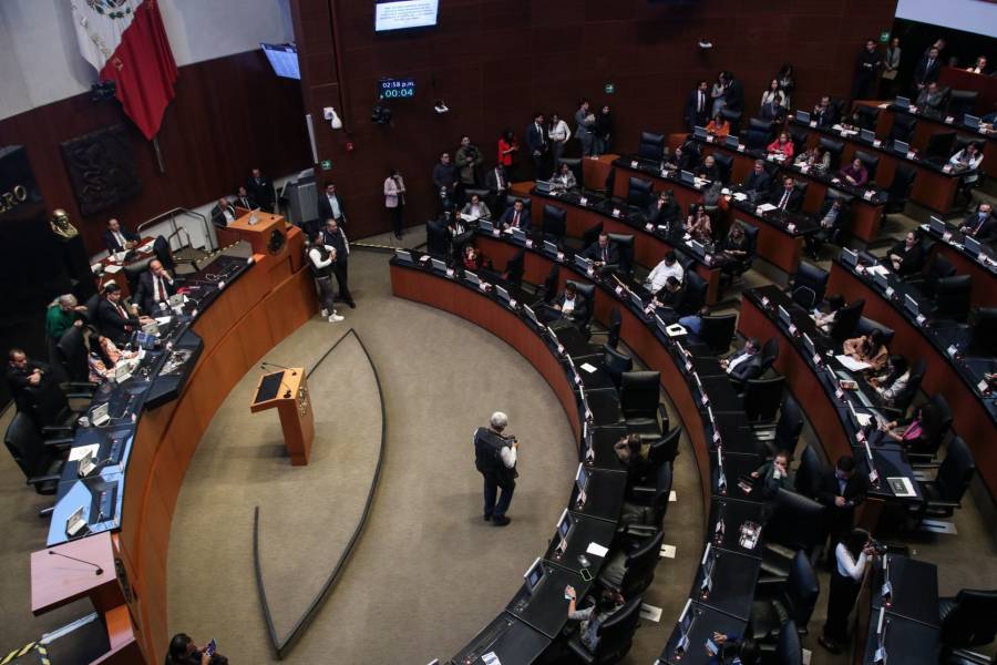 Estos son los candidatos del PT para el Senado en Representación Proporcional