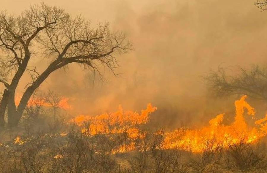 Ejecutivo de SLP y productores de la Huasteca atentos ante temporada de incendios