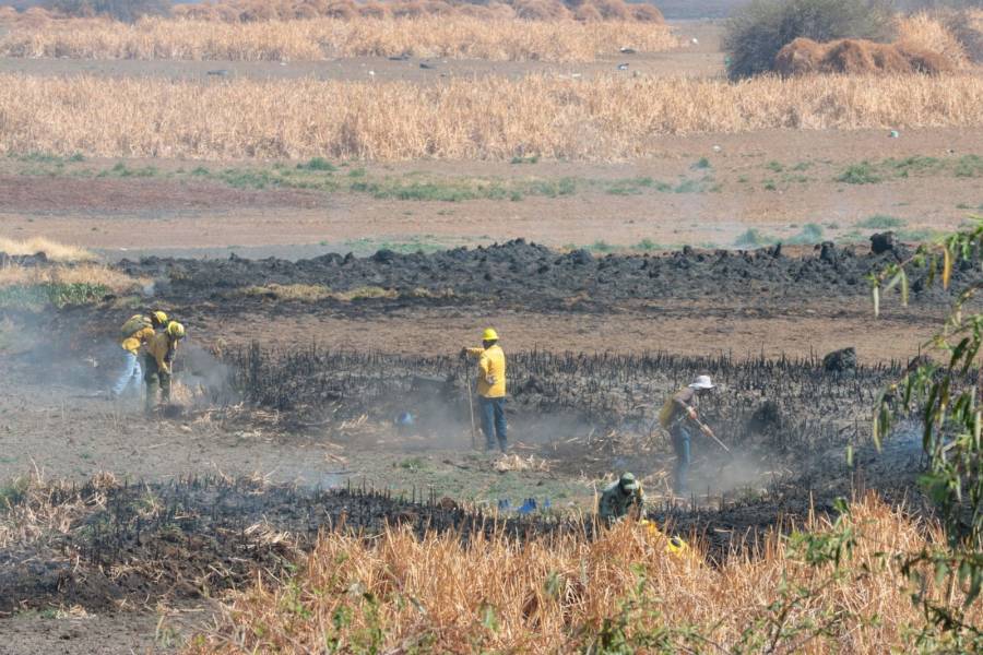 Se mantienen fumarolas por incendio en el Vaso de Cristo