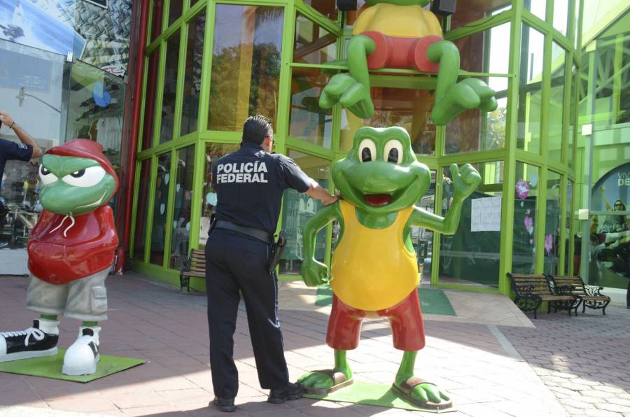 Hallan las ranas mariachis del 