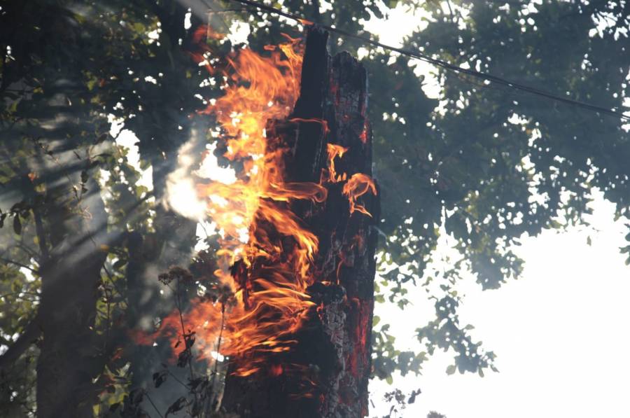 Alarmante aumento de incendios forestales en el Estado de México en 2024