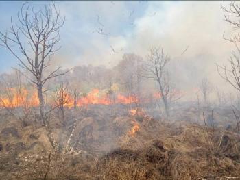 Brigada Contra Incendios trabaja en el control del incendio en el Nevado de Toluca