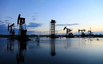 OPEP mantiene pron&oacute;stico de s&oacute;lido crecimiento en demanda mundial de petr&oacute;leo para 2024