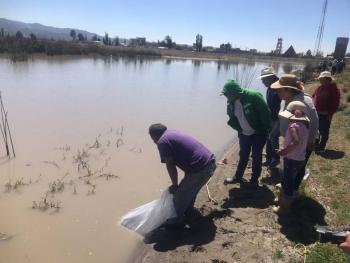 Inicia temporada de siembra de carpa en el Estado de M&eacute;xico