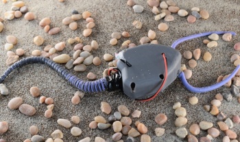Resucitan como robot a una criatura f&oacute;sil extinta hace mucho tiempo