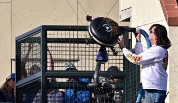 Alcaraz fue atacado por ej&eacute;rcito de abejas en Indian Wells, llaman a apicultor para contenerlas