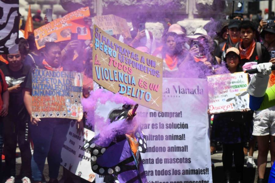 Protestan animalistas contra el maltrato animal en CDMX