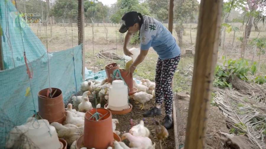 Petro entrega predio de 409 hectáreas a 30 mujeres víctimas de Ayapel, Córdoba