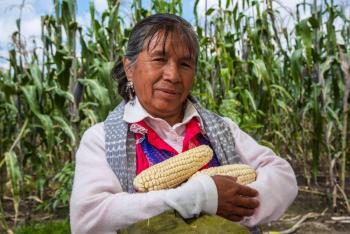 Participa México en la 38 Conferencia Regional de la FAO para América Latina y el Caribe