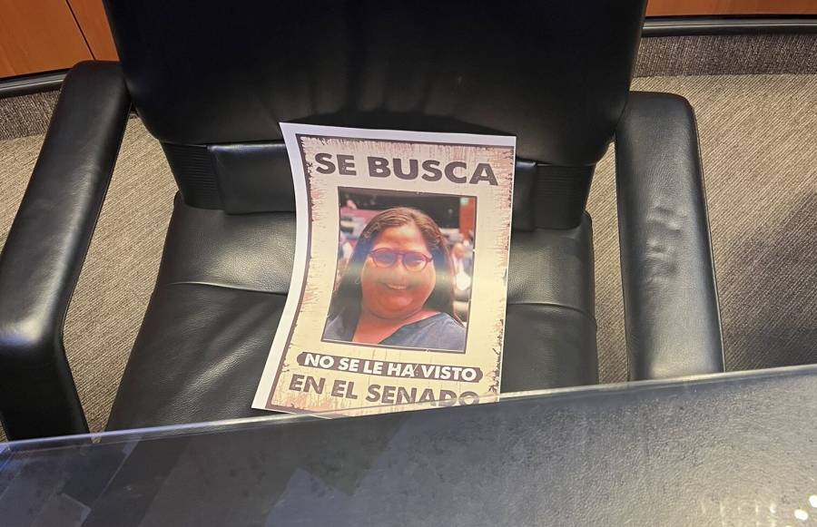 Lilly T&eacute;llez se lanza contra Citlalli Hern&aacute;ndez por no acudir a trabajar al Senado