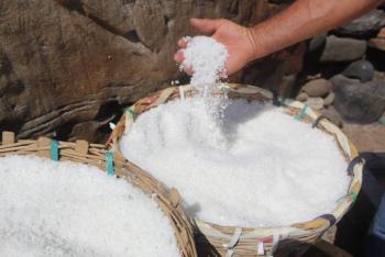 Conservan en San Miguel Ixtapan m&eacute;todos ancestrales para producir sal