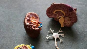 Descubren prote&iacute;na con un papel clave en la progresi&oacute;n neurodegenerativa de Alzheimer