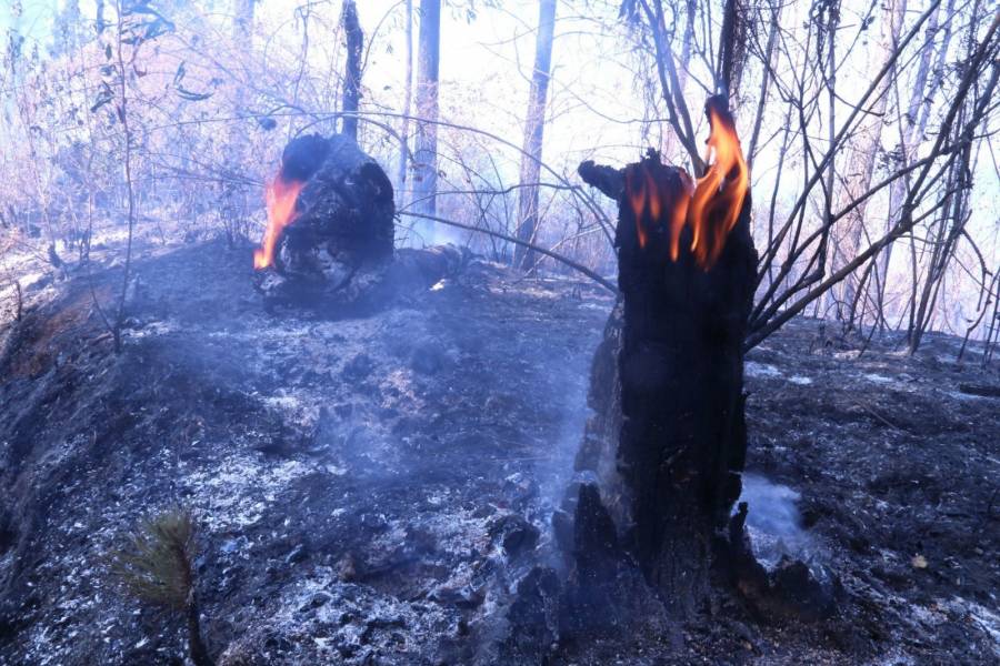 Tres incendios forestales activos en el Estado de México