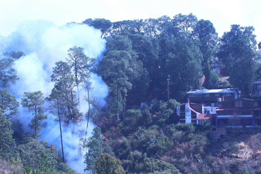 Denuncian incendio forestal en el paraje aserradero, Veracruz