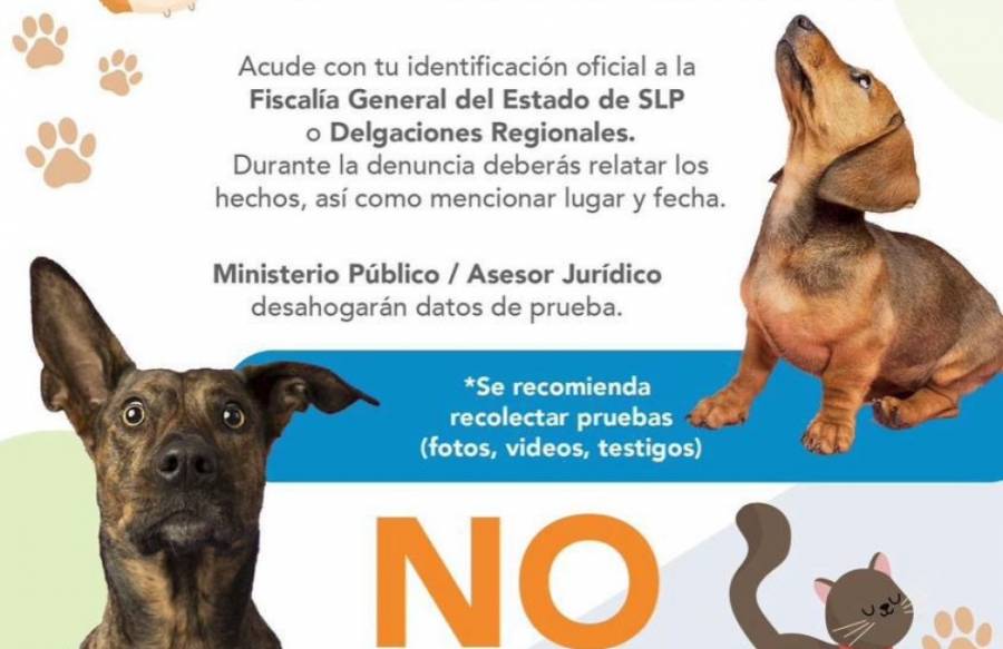 Acciones decididas contra el maltrato animal en SLP