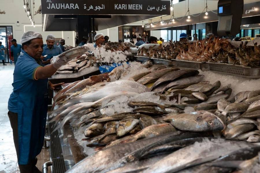 Disponibles más de 100 especies de pescados y mariscos para la presente temporada