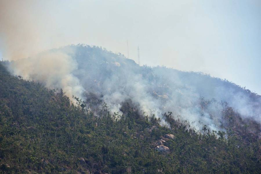 Evacuan a más de 200 personas por incendios forestales que afectan a Veracruz
