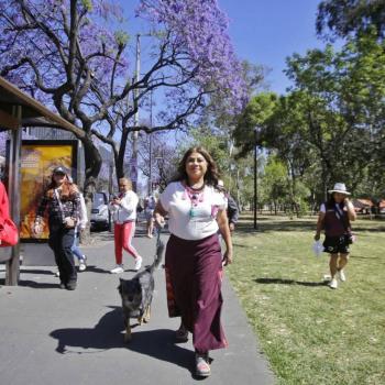 Clara Brugada presenta su plan de bienestar animal en la CDMX