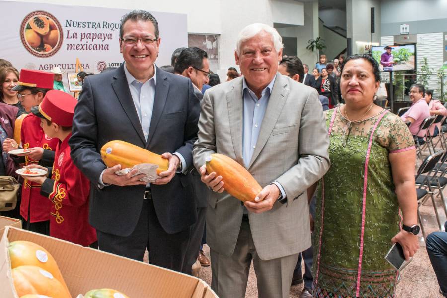 Reconocen valor productivo, económico e histórico-cultural de la papaya mexicana