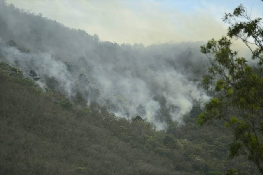 Seis incendios forestales continúan activos en el estado de Hidalgo