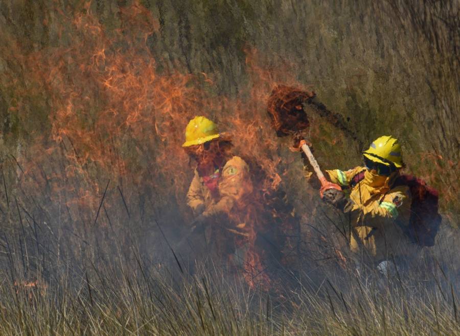 Se han consumido más de 4 mil hectáreas por incendios en Edomex