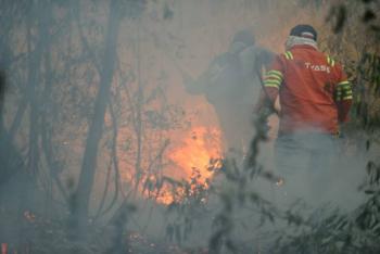 Protección Civil del Estado de México emite recomendaciones para prevenir incendios forestales