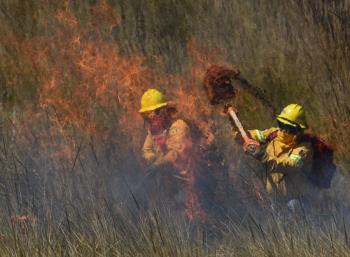 Se han consumido más de 4 mil hectáreas por incendios en Edomex