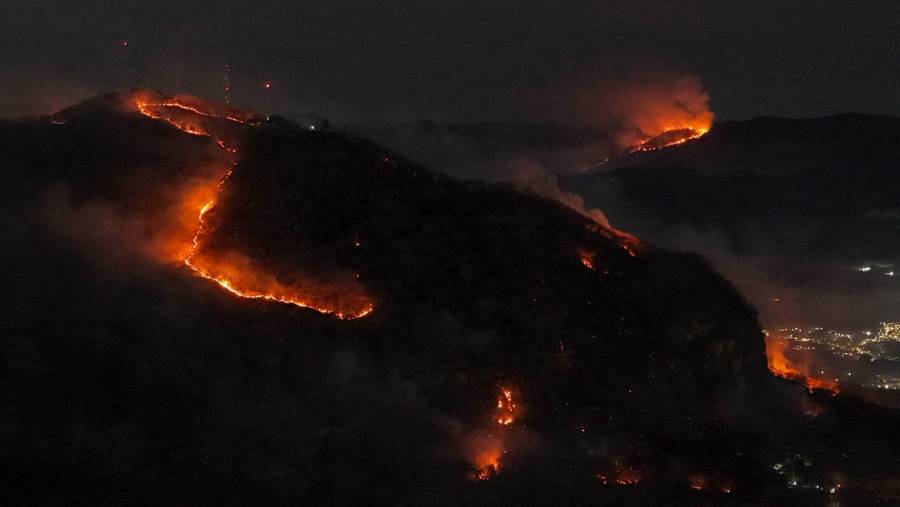 Incendios forestales afectan miles de hectáreas en Veracruz