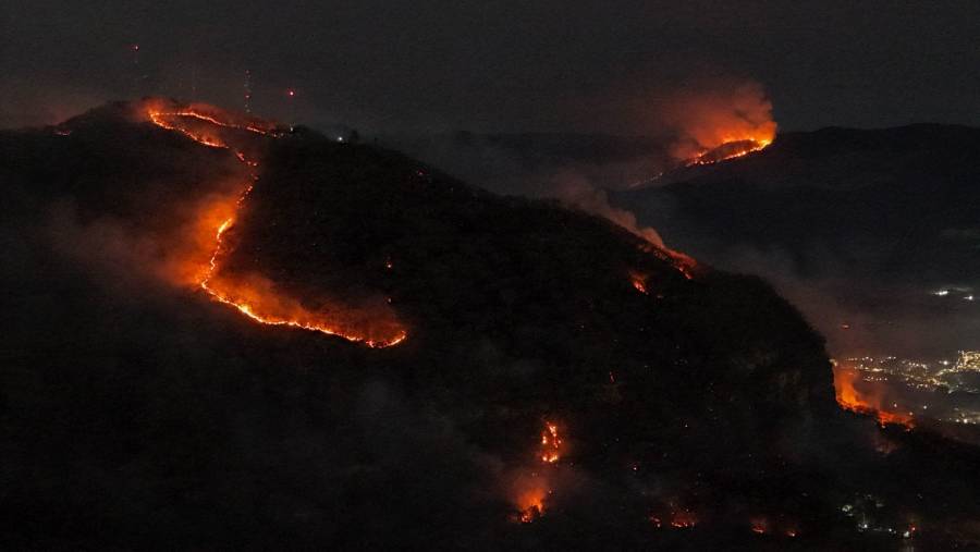 Incendios forestales afectan miles de hectáreas en Veracruz  