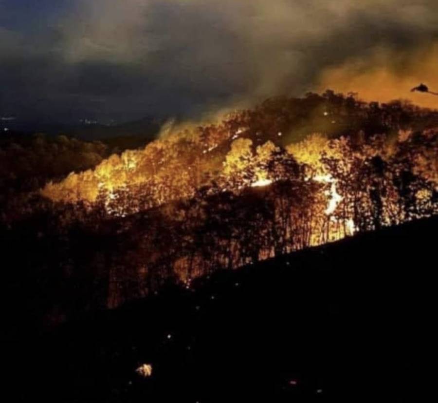 AMLO lamenta muerte cuatro personas por incendios forestales; suman 116 y pudieran ser provocados