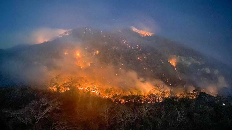 Aumenta la preocupación por incendios forestales en México, reportan 130 activos y más de 8 mil hectáreas afectadas