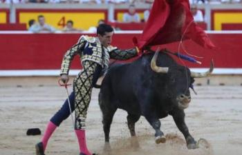 Movimiento Animalista gana amparo en contra de la tauromaquia en Teziutlán