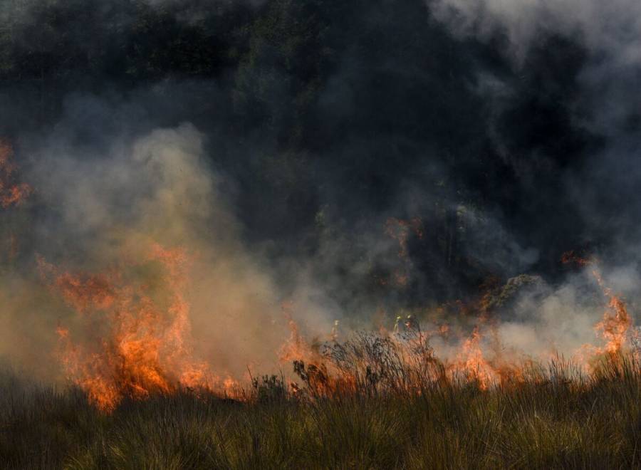 Conafor reporta al menos 147 incendios activos en 20 estados